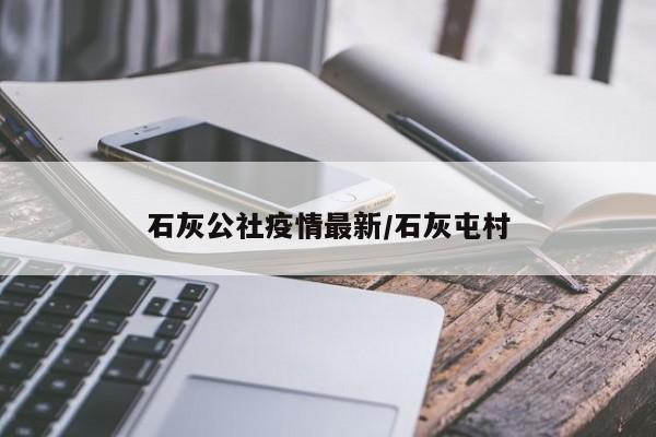 石灰公社疫情最新/石灰屯村