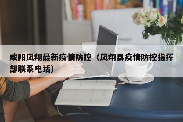 咸阳凤翔最新疫情防控(凤翔县疫情防控指挥部联系电话)